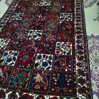 قالی بلداجی بینظیر سالم مواد گیاهی|فرش|لردگان, |دیوار