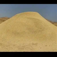 کاه نخود