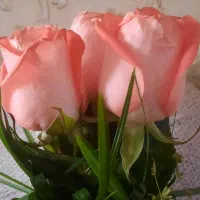 پیشگویی فال