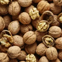 گردو کاغذی تویسرکان((بشکن و ببر)) و دیگر محصولات