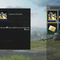 چیکن