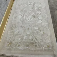 پادری کاملا نو