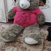 شاس خیل خندان