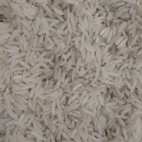 برنج ندا اعلادرجه یک|خوردنی و آشامیدنی|علیآباد کتول, |دیوار