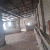 دامداری مجوز دار|اجارهٔ دفتر صنعتی، کشاورزی، تجاری|ارومیه, |دیوار