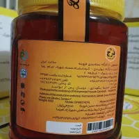 عسل طبیعی کوهستان دارنده سیب سلامت