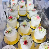 انواع کیک و شیرینی خشک کیفیت خوب قیمت مناسب