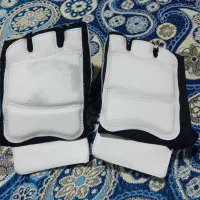 وسایل تکواندو|تجهیزات ورزشی|رشت, نخودچر|دیوار