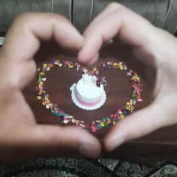 شناسنامه گم شده