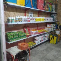 سم پاشی سمپاشی سم پاش سوسک ساس موش کنه تضمینی|خدمات نظافت|ساری, |دیوار