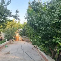 باغچه-زیبادشت