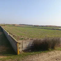 زمین-باغی-واقع-در-جاده-پلاژ-ساری