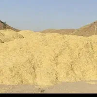 فروش ۲۵ تن کاه گندم دیم درجه یک.بدونه خاک کاه نخود