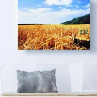 استخدام از کل گیلان و اطراف*کارثابت وماهیانه