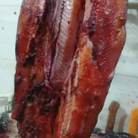 شکم گاو وماهی زنده سالمون موجوده