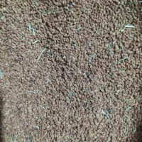 تخم یونجه...