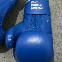 دستکش بوکس کلینچ اورجینال|تجهیزات ورزشی|پاکدشت, پاکدشت (مامازند)|دیوار