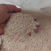 برنج چمپای میداوود ـ سرله ـ دوگچه وو|خوردنی و آشامیدنی|اهواز, کوی مهدیس|دیوار