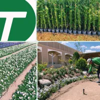 کلیه خدمات باغداری/باغچسازی حرفه ای«شرکت طلوع سبز»