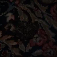 سنگ اولیژیست|جواهرات|درح, |دیوار