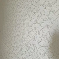 خانم واقایی رنگامیز (آریایی)