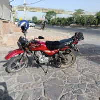 احسان شکاری 200