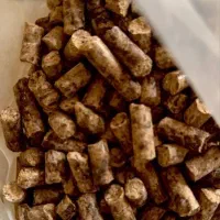 کنجاله فرآوری شده با پروتئین 35 درصد