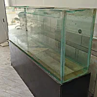 آکواریوم سایز بزرگ