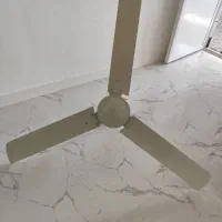 پنکه سقفی|پنکه و تصفیه‌کنندهٔ هوا|بوشهر, |دیوار