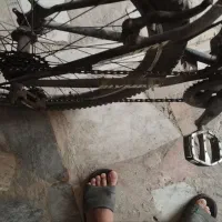 دوچرخه 26المپیا|دوچرخه، اسکیت، اسکوتر|شهریار, کرد امیر|دیوار