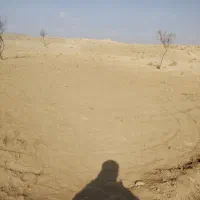 فروش زمین|فروش زمین و ملک کلنگی|تربتحیدریه, بالا ولایت|دیوار