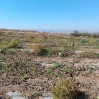 فروش زمین کشاورزی با اب|اجارهٔ دفتر صنعتی، کشاورزی، تجاری|میانه, |دیوار