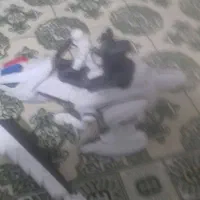 ربات دایناسور|اسباب‌‌بازی|نورآباد, |دیوار