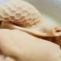 استخدام کمک آشپز سیرابی فروشی صالح آباد