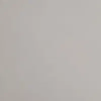 شاگرد گچ کار میخاستم