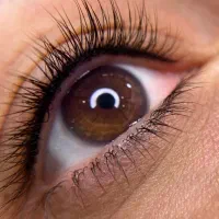 تخفیف استثنایی میکروبلیدینگ وکلیه خدمات ارایش دائم|خدمات آرایشگری و زیبایی|رشت, لاکانی|دیوار