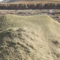 خارشتر کیلو ۱۰|عمدهفروشی|فریمان, |دیوار