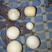 تعداد ۶عدد سنگ الماس آسیاب اصل بفروش میرسد