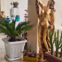 مجسمه