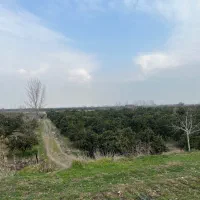 زمین کشاورزی دینک ۱۰۰۰ متر