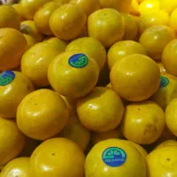 میوه خوب کسی خواست در خدمتم