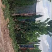 باغ-1000-متری