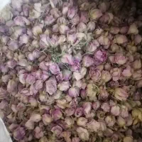 غنچه خشک گل مهدی