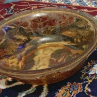 ظرف زیبای زنگاری آمریکایی اصل قدمت پهلوی