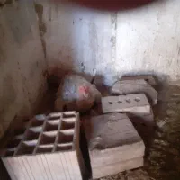 لاری.موغ.کرچ