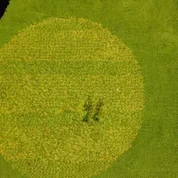 قالی مدل بچگانه ۴متری|فرش|اهواز, کیانشهر|دیوار