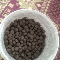 قرص کود کروا مخصوص گلخانه و گلدان خاک مخصوص گلدان|گل و گیاه طبیعی|تهران, وردآورد|دیوار