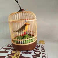 دکور پرنده