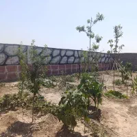 زمین