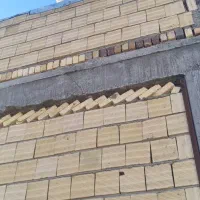 کبوتر فروشی|پرنده|خزل, |دیوار
